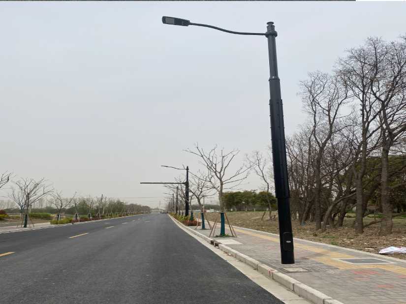 柏乡县上海综合杆 太阳能路灯工程